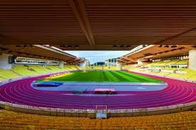 低位单打球星，篮板保障，更衣室核心。